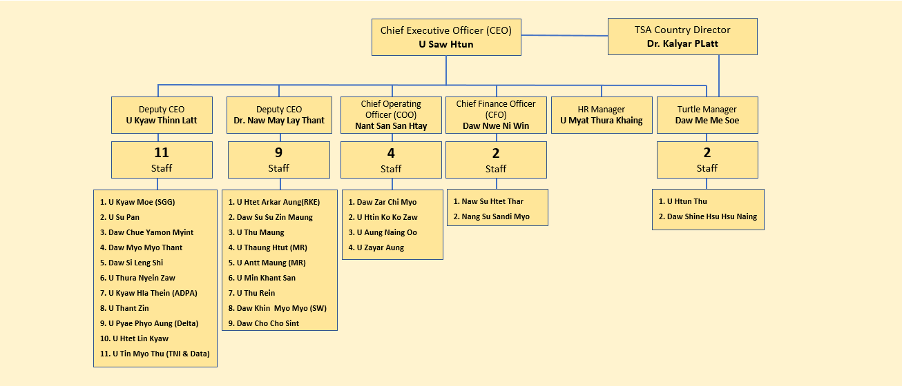 Executive Team Structure